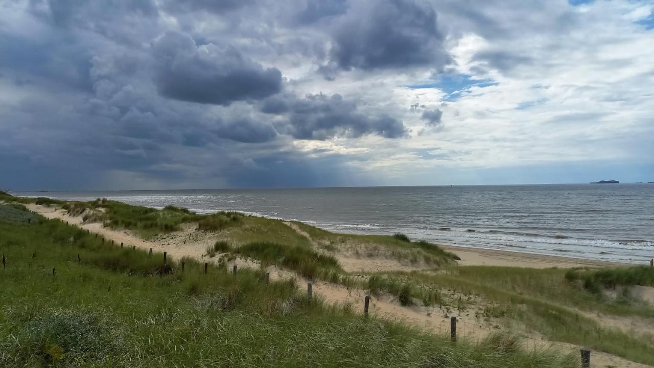 Het Zeepaartje, Knus En Gezellig Villa Noordwijkerhout Eksteriør billede